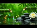 Relaxing Zen Piano and Water Sounds – Calming Music for Deep Sleep and Stress-Free Healing