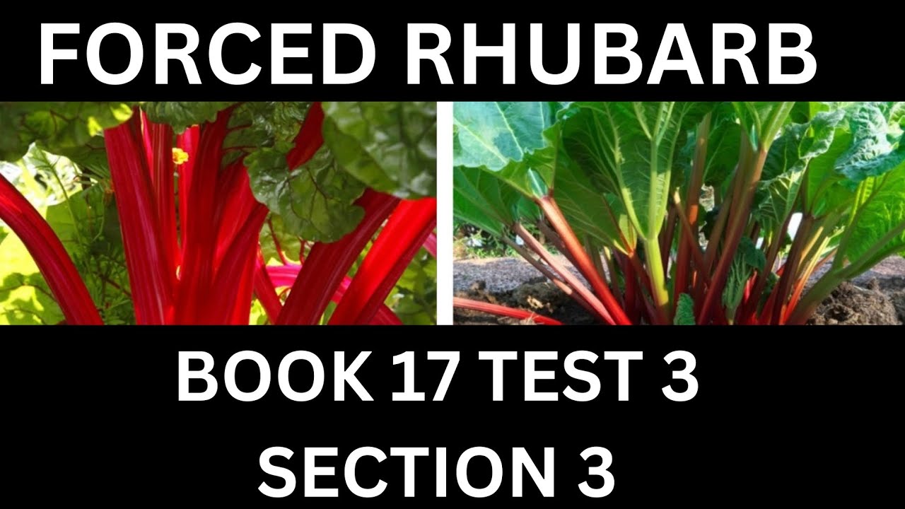 BOOK 17 TEST 3 SECTION 3 | FORCED RHUBARB | IELTS GENERAL READING