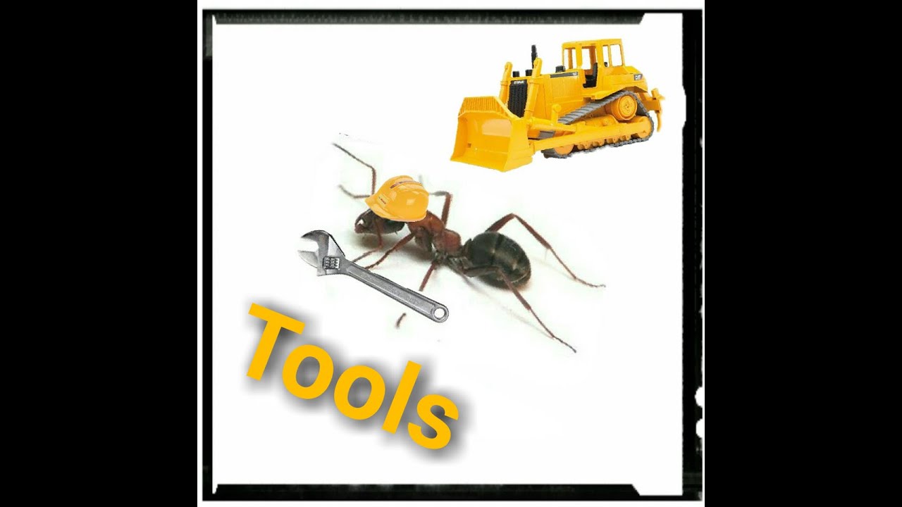 Základy chovu mravcov - Náradie