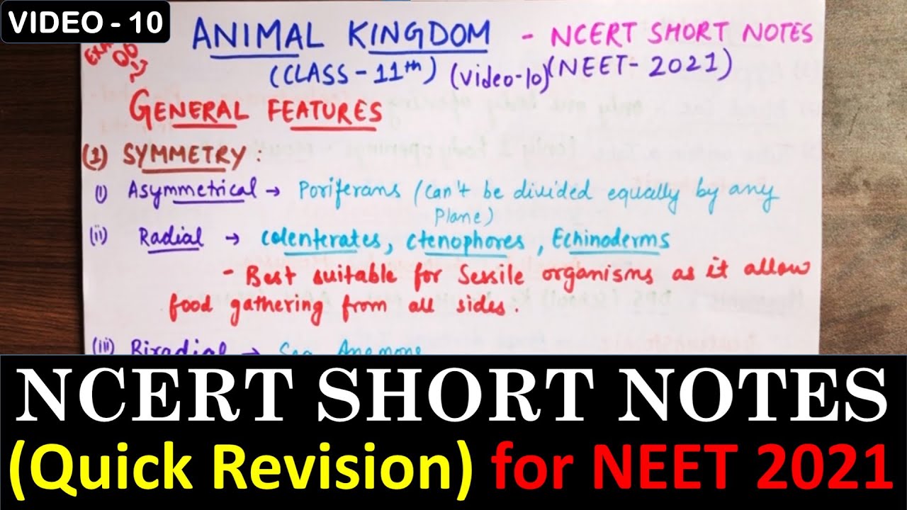 ANIMAL KINGDOM CLASS 11 - NCERT SHORT NOTES for Quick Revision in Hindi |  Video - 10 | NEET 2021 | - YouTube