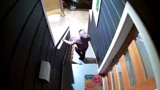 package thieves