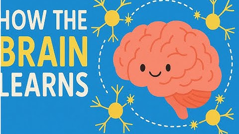 How the Brain Learns | Kids Neurons Song