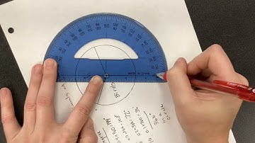 How to Make a Pie Chart Using a Protractor | Step-by-Step Tutorial