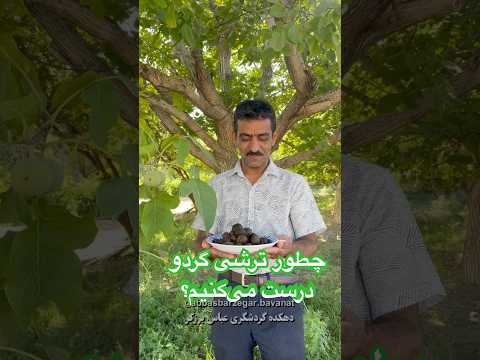 طرز تهیه ترشی گردو مخصوص دهکده گردشگری بوانات ترشیجات خانگی ترشی گردو ترشی گردو سبز بوانات