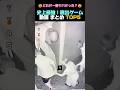 史上最強!脱出ゲーム動画 まとめ TOP5