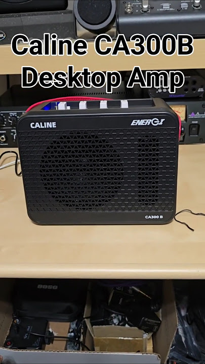 Caline CA300B Desktop Bass Amplifier #caline #bassist #bass