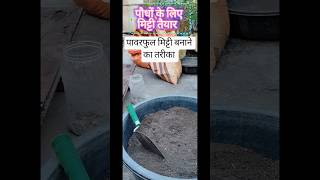 Terrace Garden के लिए Fertile मिट्टी बनाना | Step by Step