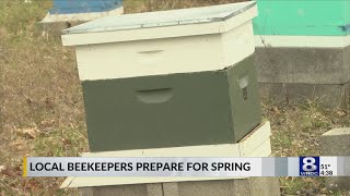Western New York bee losses remain average amid nationwide decline