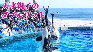 激レア　鴨川シーワールド　バッジ　シャチの親子 激レア 鴨川シーワールド バッジ シャチの親子 - メルカリ