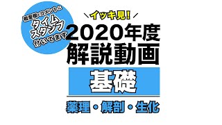 【2020年度】イッキ見！基礎①(薬理・解剖・生化)