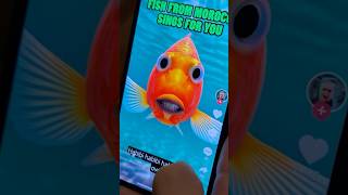 נמאס לי מסורה 2