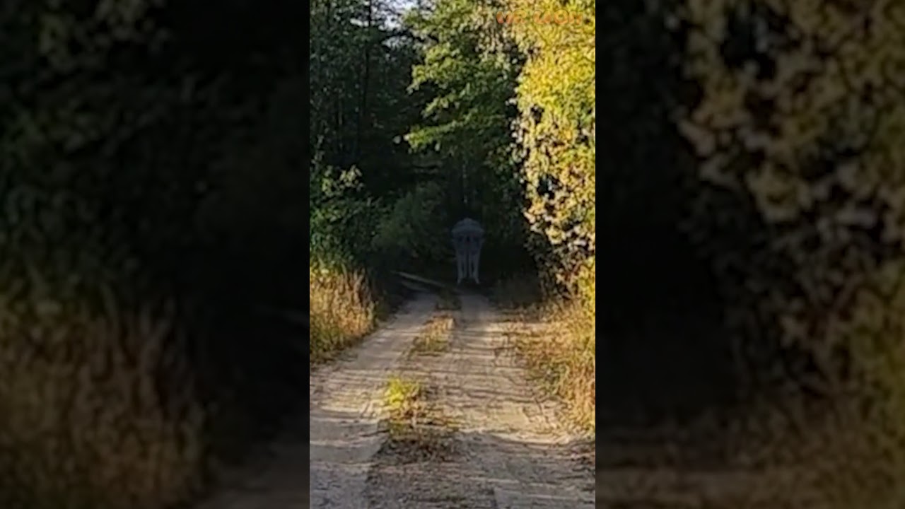 Minecraft Ghast in real life! 