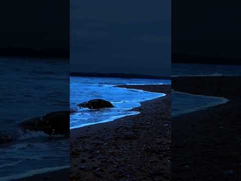 الشاب رزقي كان يا مكان