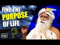 What is the purpose of life  sadhguru