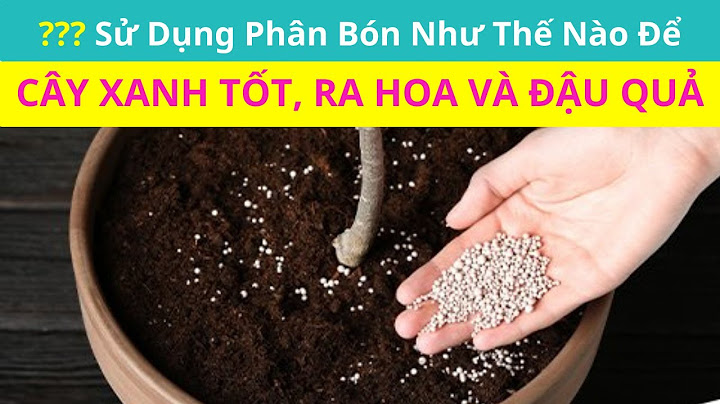 Hướng dẫn bón phân cho cây cảnh năm 2024