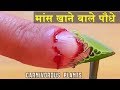Amazing Carnivorous Plants around the world in Hindi || Plants that eats animals
