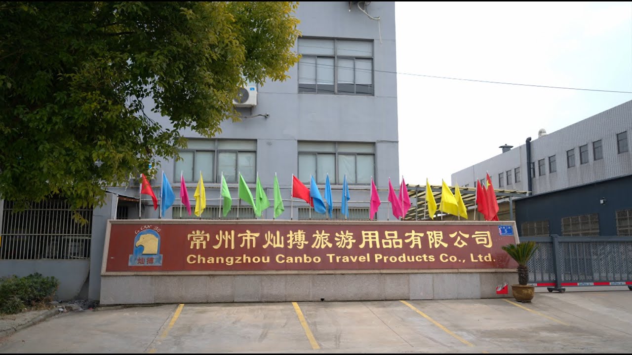 Behind the Scenes: Inside CanboPet — Your Trusted Pet Products Factory 