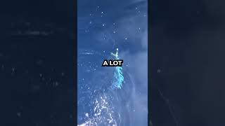 Crazy good fishing in Crete