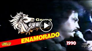 1990 - ENAMORADO- canta Emilio Reyna en vivo -  El Pega Pega Pegasso -