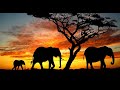 TOP 10 LUXURY SAFARI LODGES IN TSAVO NATIONAL PARK, KENYA -  GEMS OF AFRICA #7