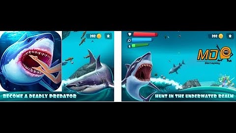 Hunting Shark Simulator 3D  - Gameplay IOS