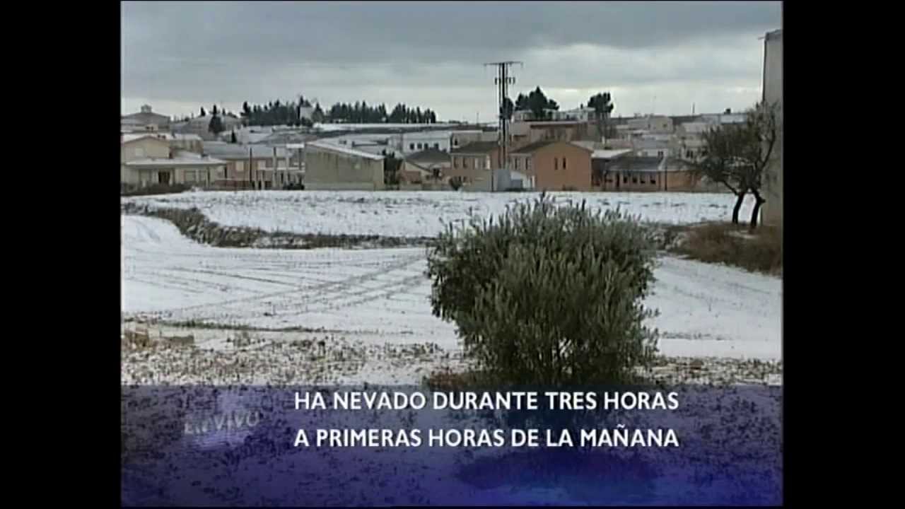 Hoya Gonzalo nevado 2010 + o -