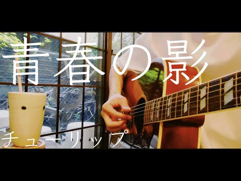 【ギター弾き語り】青春の影／チューリップ (Cover)