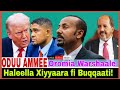 Haleella Xiyyaara Fi Buqqaati Oromia Warshaale 12 20 2025 AGM