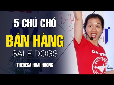 Video: Nguyên nhân gây lo âu ở chó?