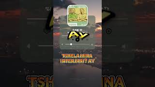 Funk 99 S  Amapiano    Shakes U0026 Les U0026 Leemckrazy