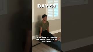 I Learned the Handstand on Parallettes in 308 Days! #shorts