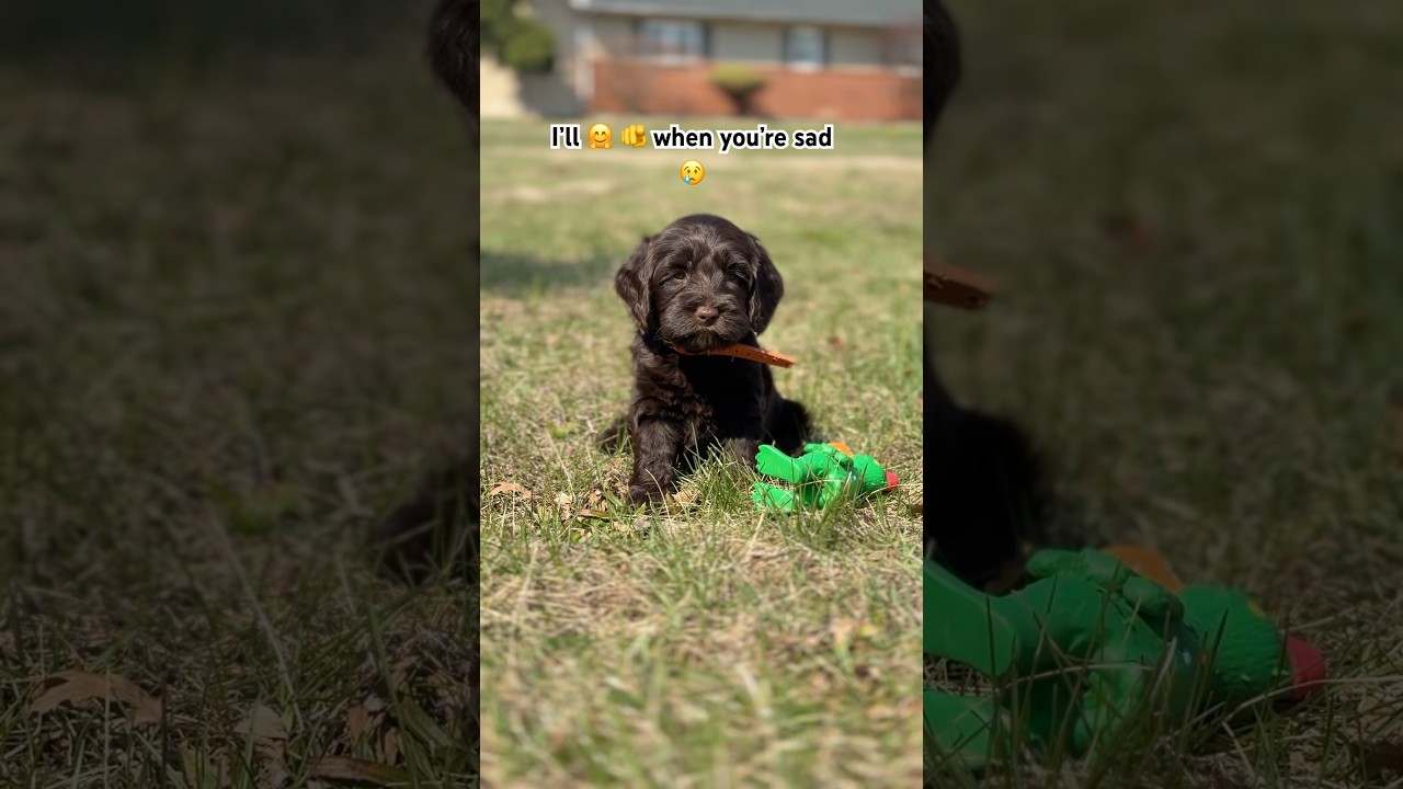 Want to be my friend?❤️👏