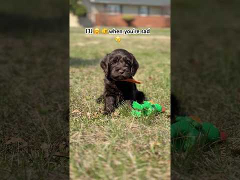 Want to be my friend?❤️👏