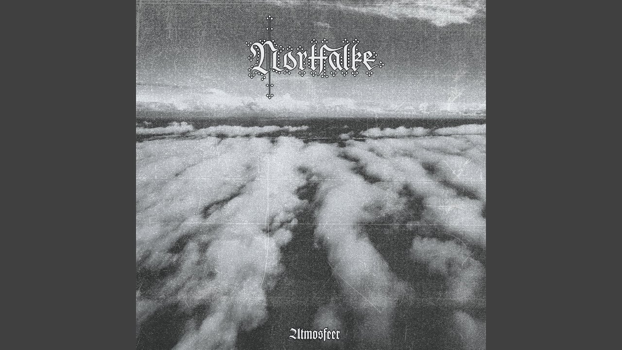 Guarda Diepte su YouTube Guarda Diepte su YouTube