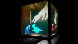Harmony Lantern celebrating World Cat Day