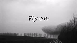 Coldplay   fly On  S
