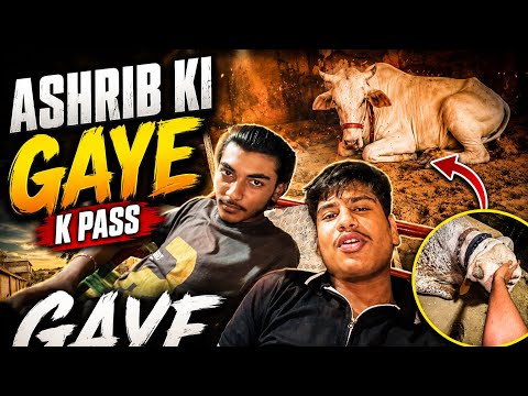 Dost ki Gaye k pass Gaye | Bakra Eid vlog. 😍😍