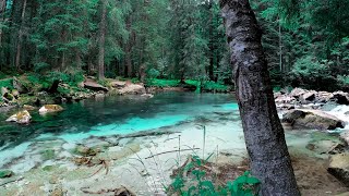 Relaxing Nature Sounds - Swimming Hole  -Bird Song - Relaxing Sound for Sleep, Study or Meditation