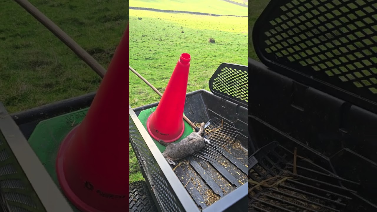 Top Meadow and a stunning vew of the farm 