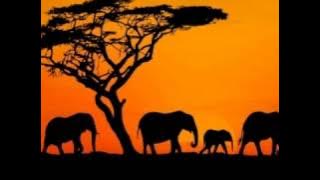 Akadasankha Kale - Edgar and Davis