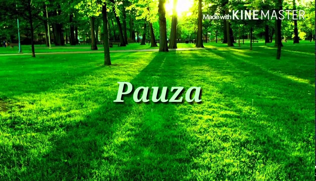 Negativ Aleluia Cântă Azi Biserica ♡( Daniel Dinescu )