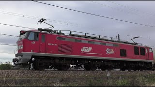 EF510-20牽引高速貨物【4K】信越本線下り3097レ