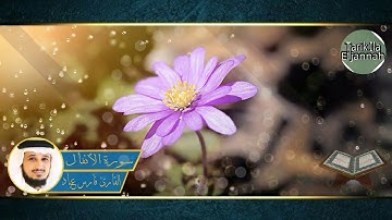 تلاوة خاشعة الشيخ فارس عباد سورة الأنفال fares abbad sourat al anfal