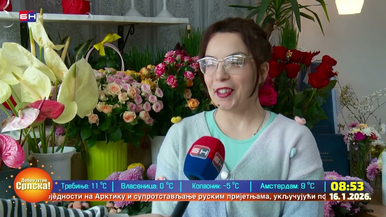 Mimoze - cvijeće koje bez ikakvih problema cvjeta u januaru