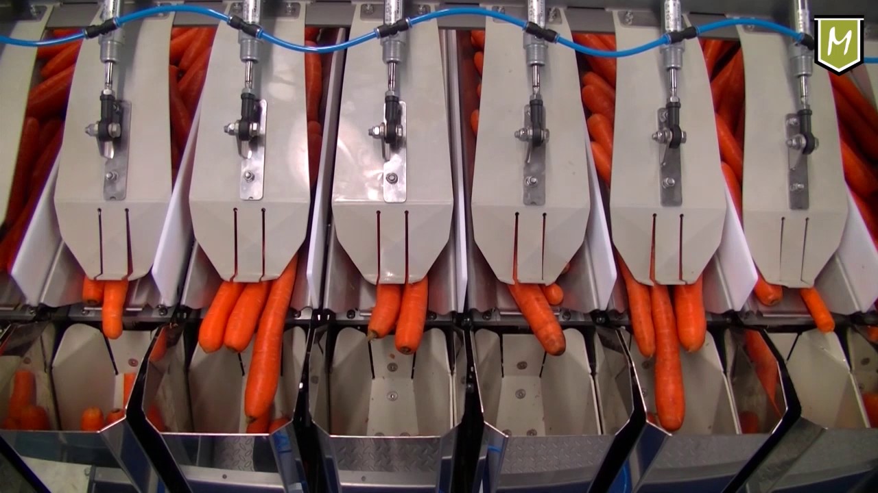 M16i V Combination Weigher with Carrots