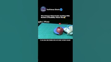 This Octopus Robot Grabs Anything With Suction & Flexibility!🧠🌀#shorts#engineering