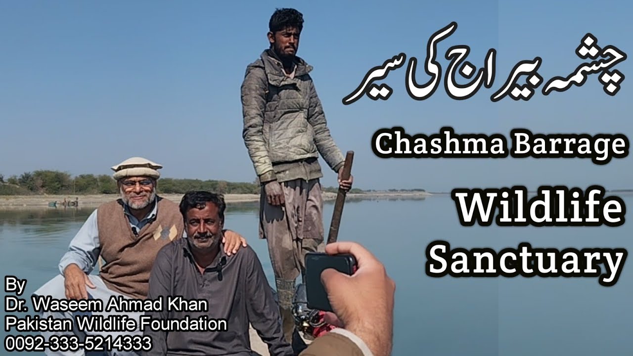 A Visit To Chashma Barrage Wildlife Sanctuary | Chashma Barrage Ki Sair | Chashma Barrage