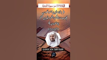 الآية (172)من سورة البقرة//القارئ الشيخ سعد الغامدي.