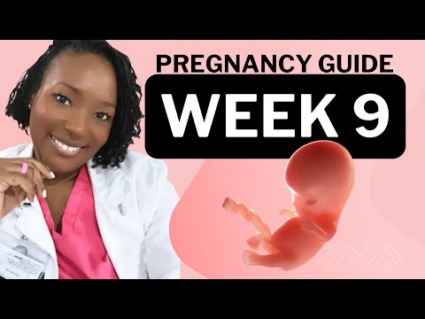 9 Weeks Pregnant: What To Expect
