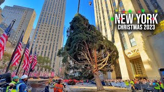 NYC Rockefeller Center Christmas Tree 2023 Installation ✨ New York City Christmas 2023